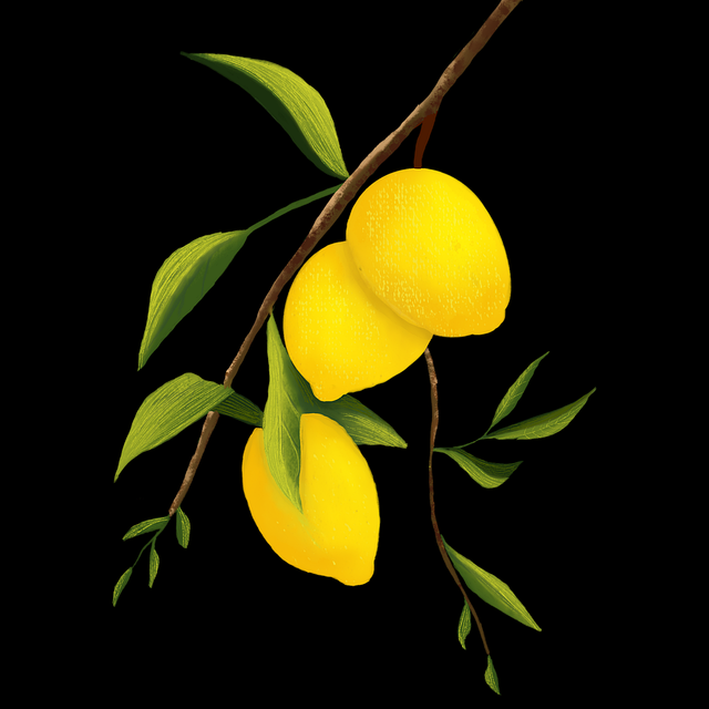 鉴黄师警示案例背后的粉丝文化深度解析