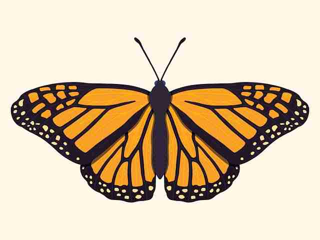 海角社区官网频繁改版，究竟想传达什么？