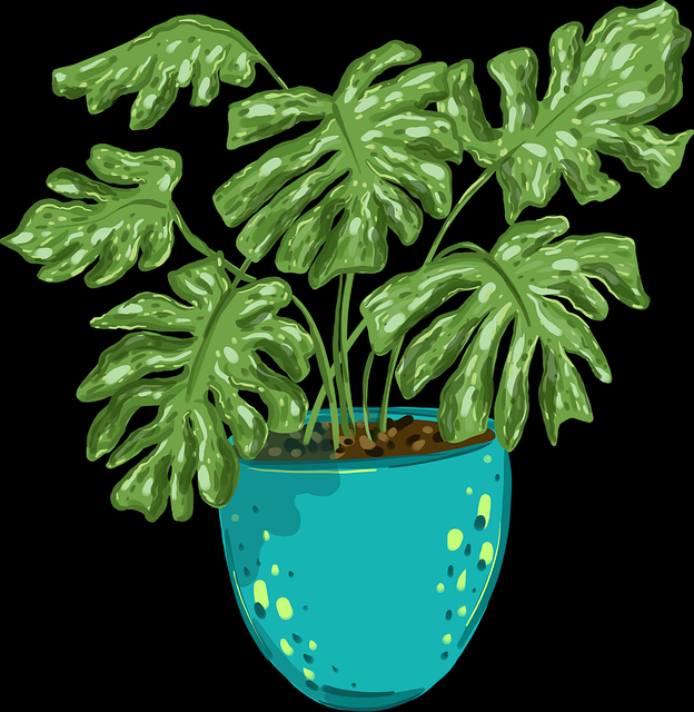 鉴黄师官网入口实时热搜全网热议榜,流量逻辑未来蓝图