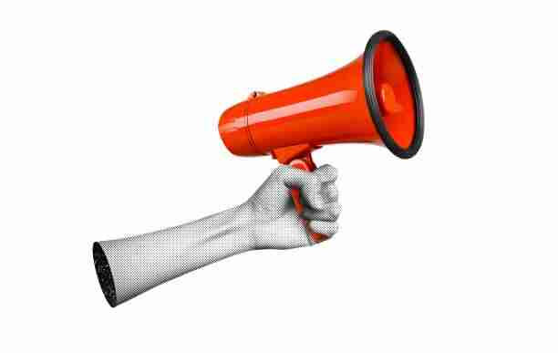 鉴黄师官网入口入门教程全景复盘：生态布局未来蓝图