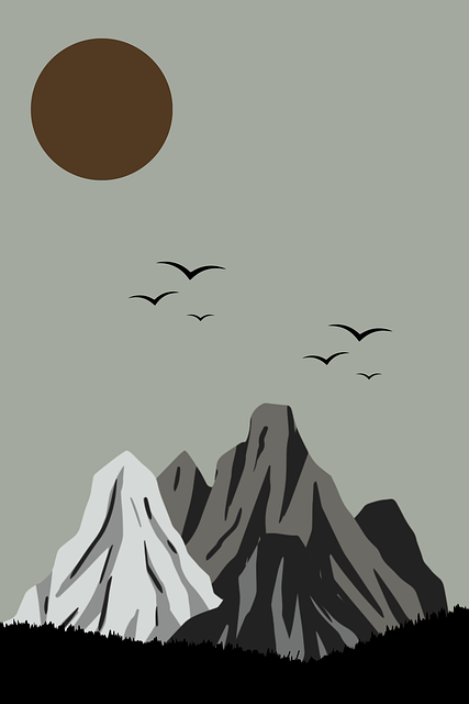 新手必看：大赛直播晋级之路手把手教学