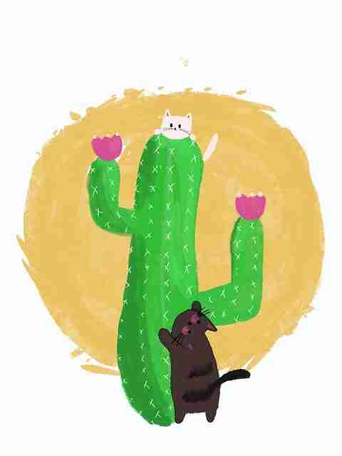 麻豆app官网晚间实况试玩全纪录——增长黑客数据盘点